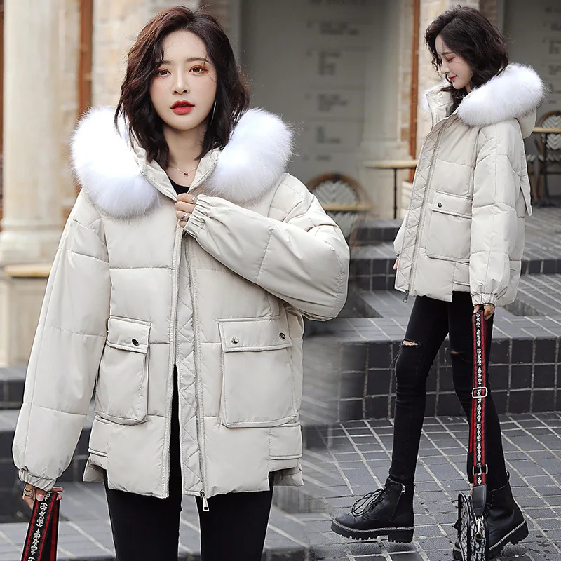 

Zipper Fly Short Elegant Simple Elegant Versatile 2019 Winter Cotton-padded Clothes