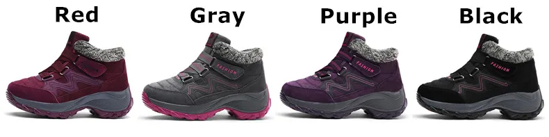 白底辅色8_副本