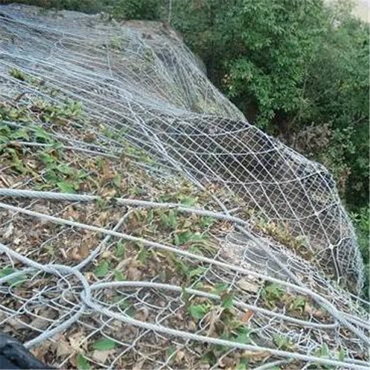 

Bian po wang Manufacturers Currently Available Supply SNS Flexible Active Slope Protect Active Mountain Protective Mesh