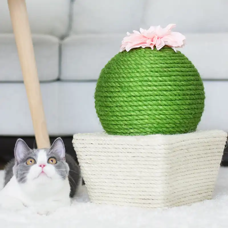 Arbre A Gratter Pour Chat Cactus Tournesol Fin Tisse En Sisal Jouet Pour Chat Aliexpress