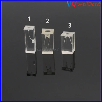 Dental Teeth Model School Resin Endodontic Student Study Teaching Practice Operation Tooth Model Dental Lab dental premature disease teeth model transparent caries pathological demonstration tooth child study teaching showing 2018