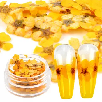 

1PC Dried Flowers Nail Art Decoration Natural Dry Floral Leaf DIY Sticker Beauty Jewelry Tips Colorful Nail Gel Ornaments