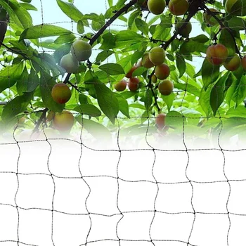 

Hot Black Anti Bird Net Netting Pest Control Protect Prevent Mesh Pond Fruit Crop Plant Tree Vegetables Garden Mesh Protect Nett