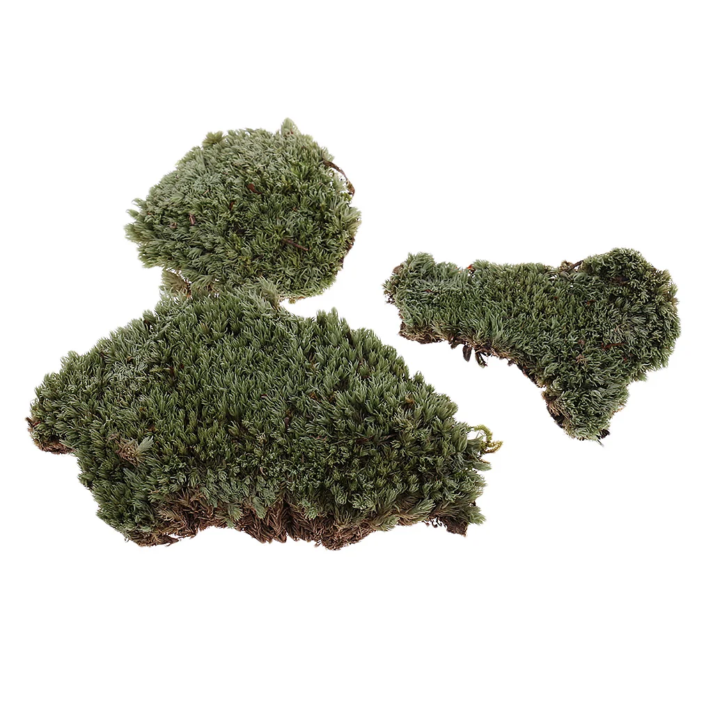Greenery Scenery Moss Lichen Model for 1/35 Miliatry Sand Armor Building Toy