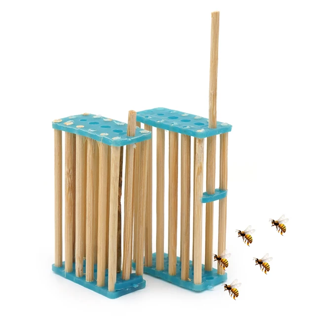 6 Dcs Beehive Bamboo Bee Queen Cage Méhész Eszköz