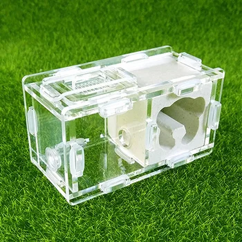 

[beer] ants nest gypsum&acrylic ants house home for young queens and small colonies