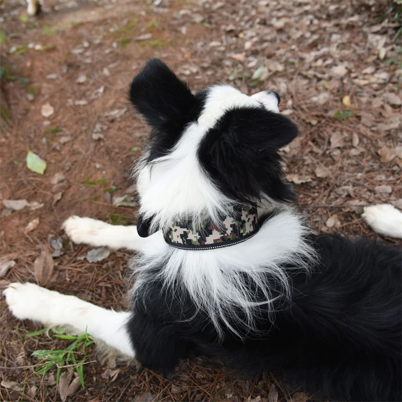10 Colors Reflective Puppy Big Dog Collar Buckle Adjustable Pet Collar Small Medium Large Dogs Pitbull Leash Dog Chain