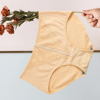 

Women's 2 Pack Plus Size Sexy mid Rise Sheer Lace Breathable Panties Hipster