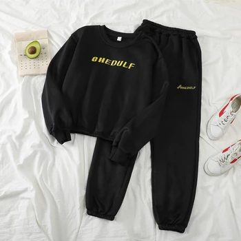 

Autumn Winter 2 Piece Set Velvet casual sports suit pants female Sweetwear Fleece Keep Warm Clothes Sweatshirt Long Pant