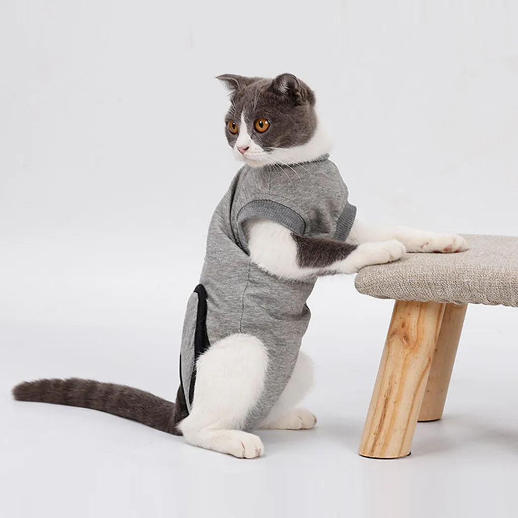 Pet Cat восстановление после хирургии котенок одежда Pet костюм рана анти-клещи хлопок стерилизация костюм товары для питомцев