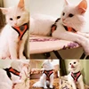 Cat Dog Adjustable Harness Vest Walking Lead Leash For Puppy Dogs Collar Polyester Mesh Harness For Small Medium Dog Cat Pet 2