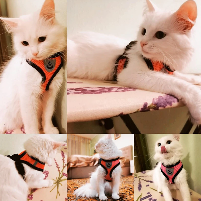 Adjustable Cat Dog Harness Leash Set for Walking