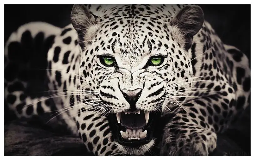 QQ截图20190627234454