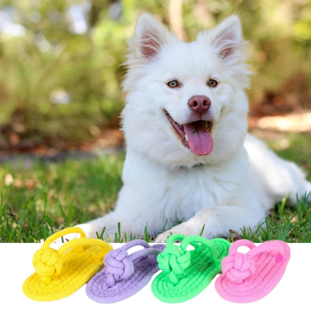 YY11540800-C-20190737-1