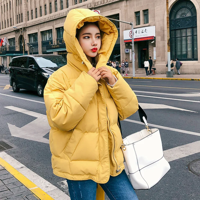 

Warm Elegant Hooded Long Sleeve Zipper Access Control 2019 Autumn & Winter Versatile Cotton-padded Clothes Qyzlr602-2