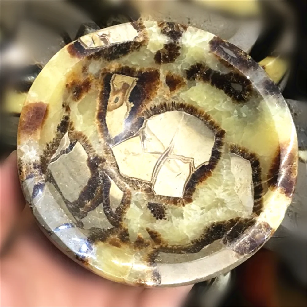 Natural Gem Stones And Minerals Fossil Specimens Septarium Ashtray Ornament Polychrome Stone For Home Hecoration Or Gifts | Дом и сад