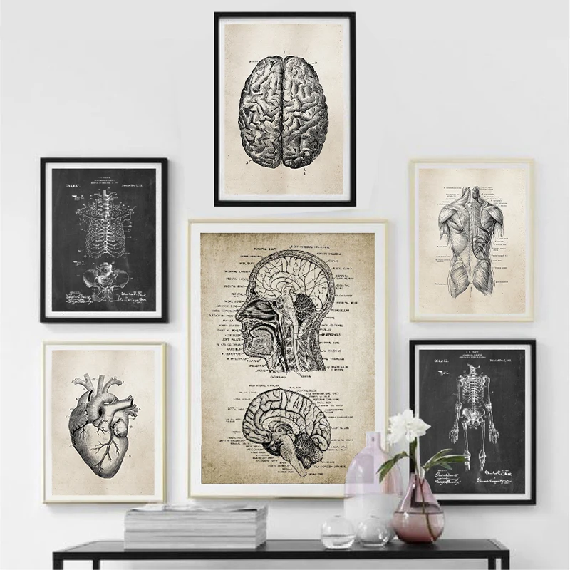 Анатомический Скелет патент винтажные плакаты и принты медицинские стены Художественная печать на холсте картины для гостиной домашний декор