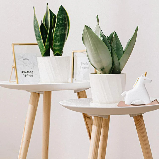 1 Darab Vastag Műanyag Virágcserép Otthoni Kerti Dekoráció Divat Virág Edény Erkély Iroda Íróasztal Zamatos 3 Színű - Image 3