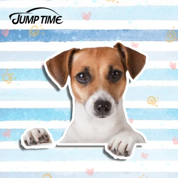 

Jump Time 13cm x 12cm Pet Dog Creative Car Stickers Vinyl Sticker Laptop Travel Luggage Decal Car Styling Waterproof Accessories