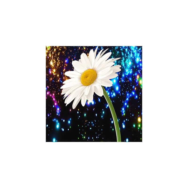 

Алмазная 5D картина «сделай сам», вышивка «звезда, ночная белая Маргаритка», стразы, вышивка крестиком, домашний декор, картина, подарок, игрушки