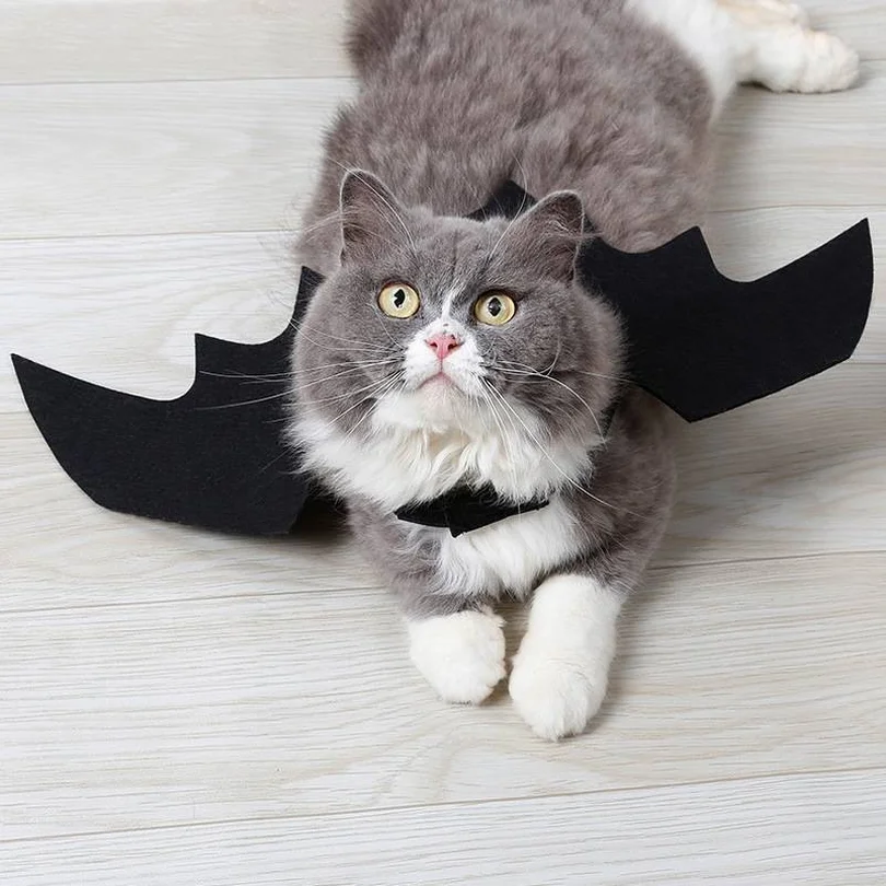 Черный милый костюм для хеллоуина Кошка маленькая кошка летучая мышь крылья Хэллоуин кошка крылья Хэллоуин аксессуары для Хэллоуина украшения для Хэллоуина