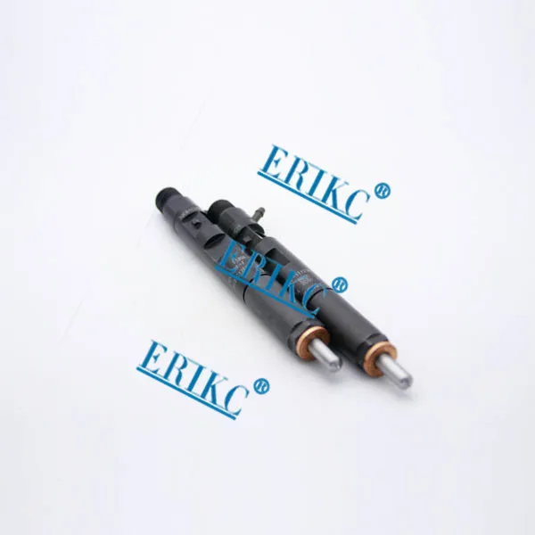 ERIKC EJBR04101D инжектор с общей топливной магистралью в сборе R04101D (8200553570) для RENAULT Kangoo Mk