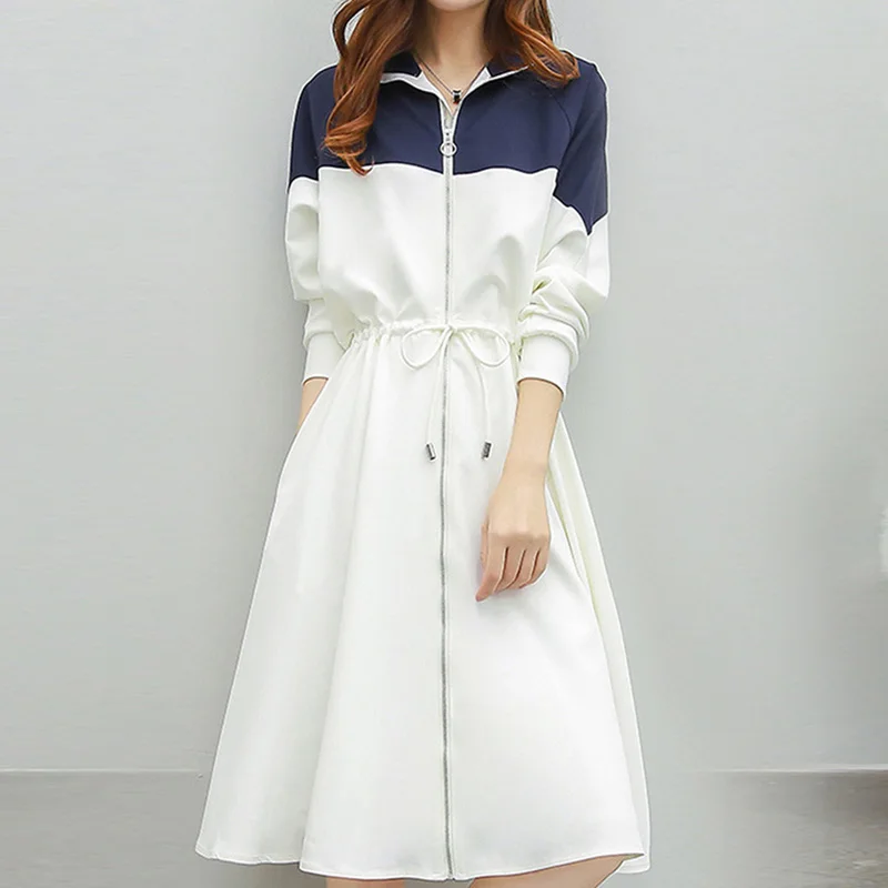 2019 Spring Autumn Fashion Women Bust Zippers Dress Solid Pleated o-neck Ladies Dresses Evening Party Loose large size DJ049