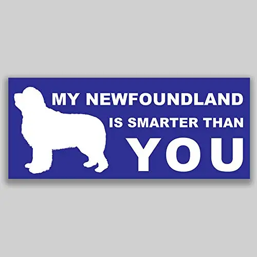 Для My Newfoundland умнее, чем вы виниловая наклейка стикер для окна автомобиля бампер 2-Pack качество УФ-защита
