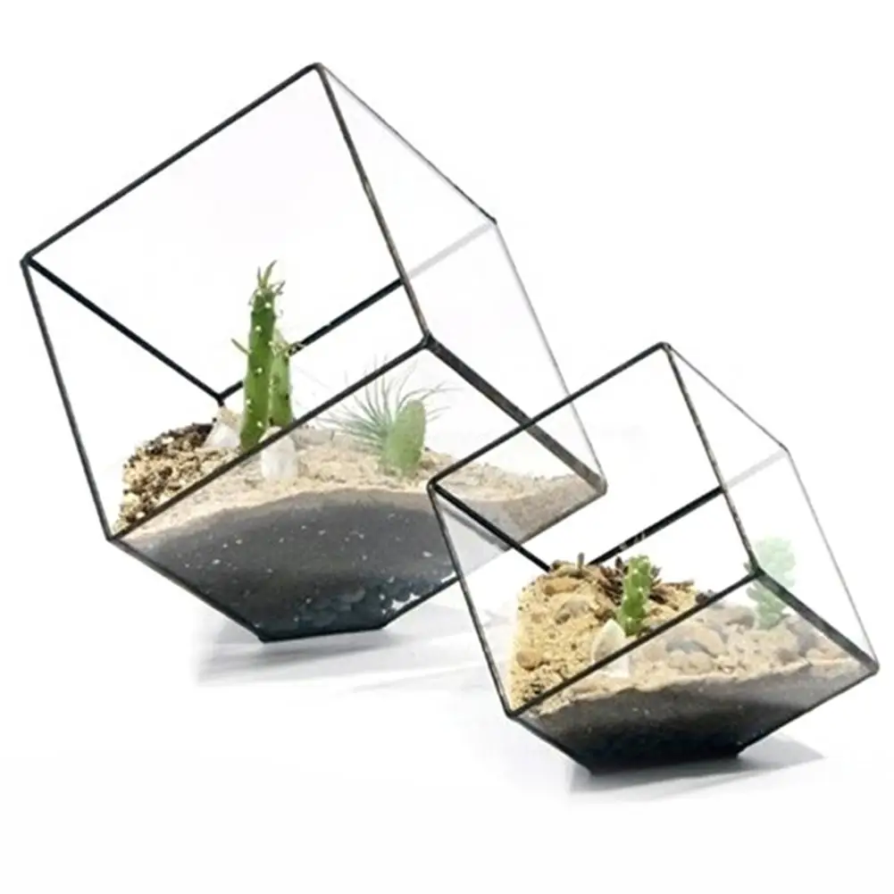 Геометрические кубики стеклянный террариум домашний декор растительный мясистый цветочный держатель ваза горшок контейнер суккуленты горшки для растений