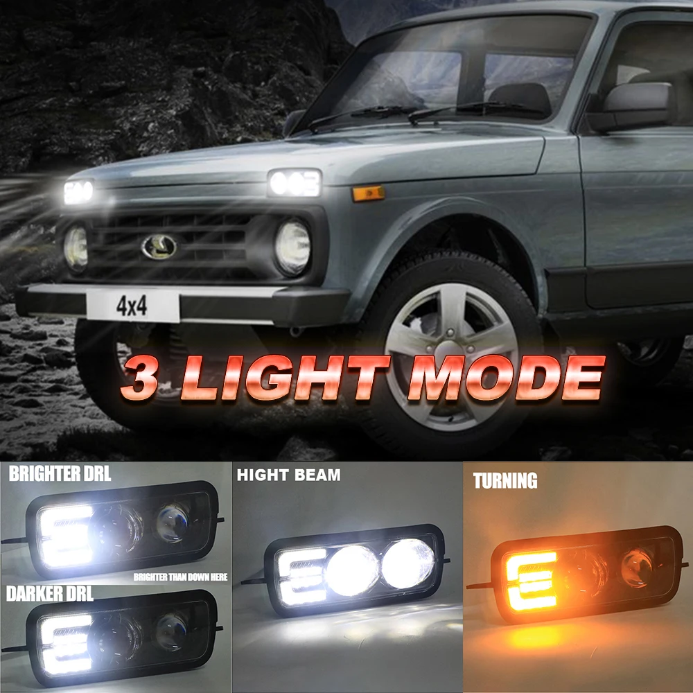 Pitfalls Distinguish Somatic cell lada niva blinker led