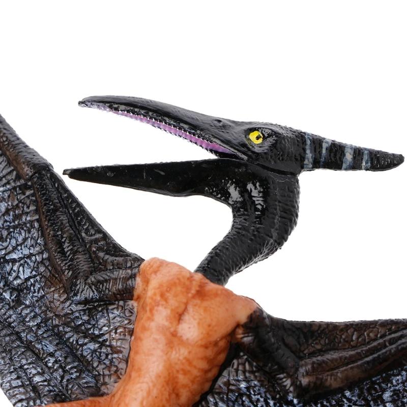 Pterodáctilo dinosaurio figuras de acción de juguete marioneta de mano niños modelo educativo U50F