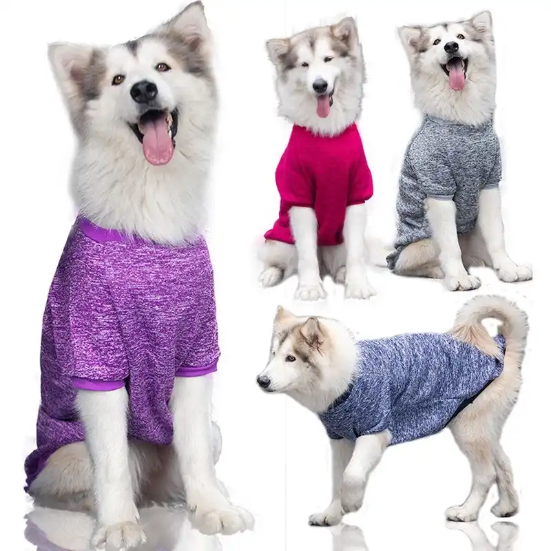 無地犬服秋冬セーター犬のため中大二本足の子犬服紫ropaパラペロ 犬用パーカー Aliexpress