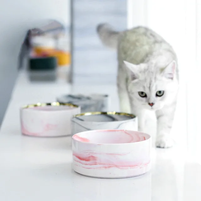 Bol en c ramique de marbre pour aliments et eau pour chats plat avec support en