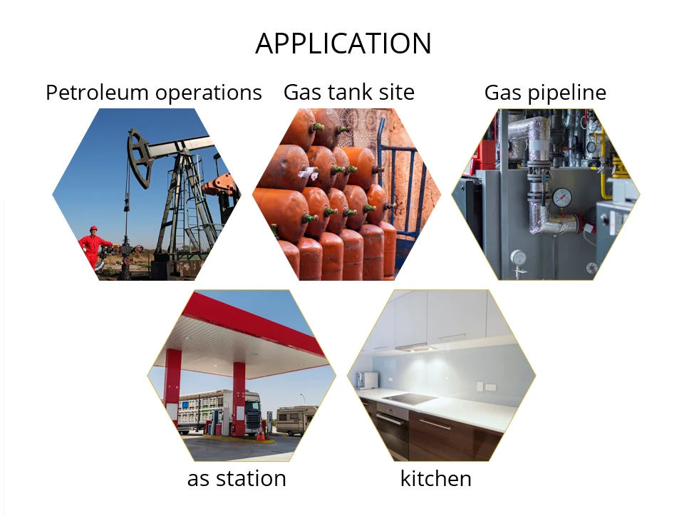 Combustible Gas Analyzer Leak Detector