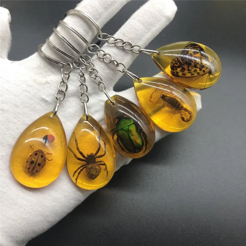 

Charm Natural Amber Key chain Resin Insect Specimen Scorpion Butterfly beetle spider amber Key ring Jewelry Gifts for Women Men