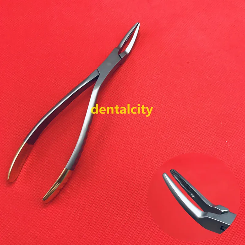 

Dental Root Fragment Minimally Invasive Tooth Extraction Dental Forceps Tooth Pliers Curved Maxillary Mandibular Teeth