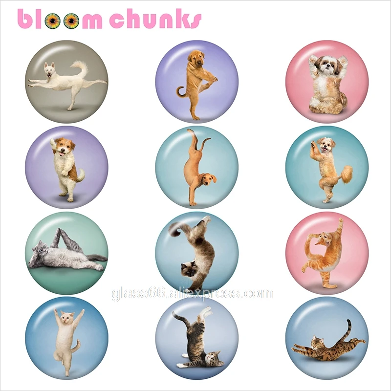 Кошка Йога Горячая 12 мм/18 мм/25 мм/40 мм круглый стеклянный кабошон демонстрационный плоский задний делая результаты TL4012 - Color: 10pcs Mixed Set