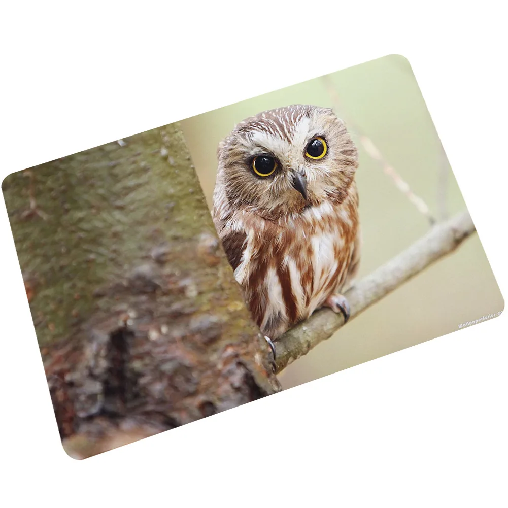 Owl Zeegle коврик для кухни, дверной коврик, коврик для туалета, коврик для собаки, коврик для ванной комнаты, противоскользящий водопоглощающий ковер, коврик для крыльца, коврик для ног - Цвет: Owl