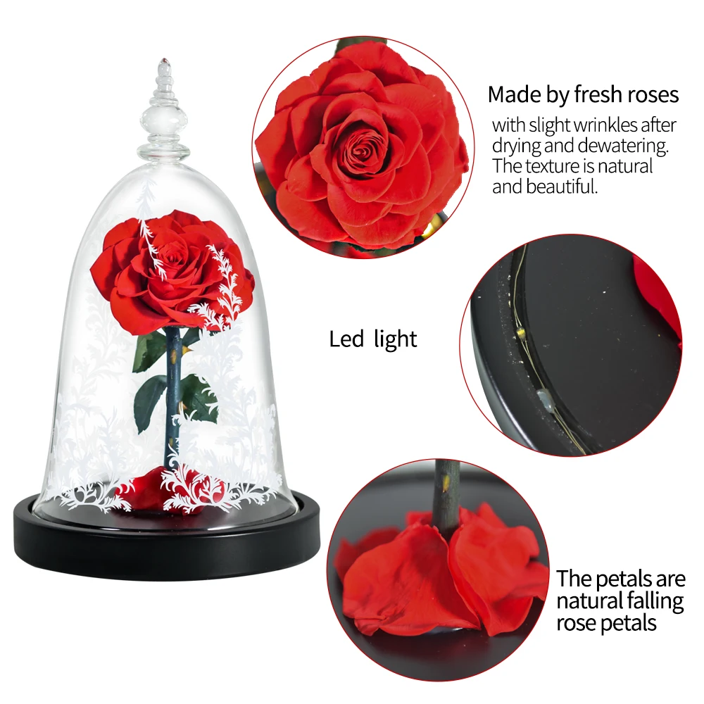 Beauty and The Beast Preserved Roses In Glass Forever Eternal Rose Flowers Christmas Valentine Gifts for Girls Mother Gift_voghion.com
