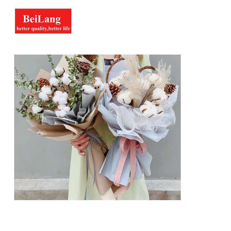 BeiLang натуральный вечный хлопок сушеные цветы для домашнего декора фото реквизит Атмосфера декоративные цветочные композиции