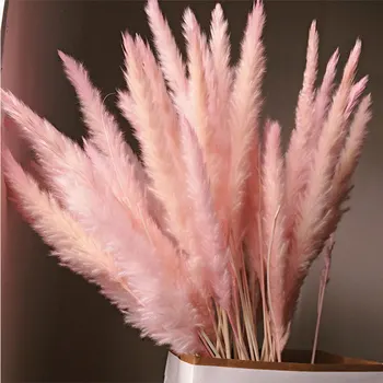 

15 Pcs Dried Small Pampas Grass Phragmites Communis Decoration for Home Hotel Wedding _WK