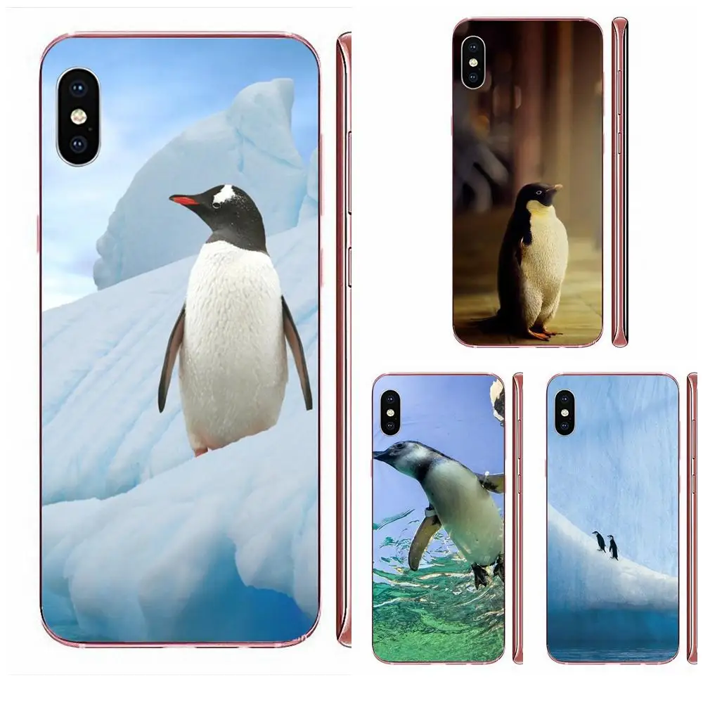 Cute Penguin TPU Защита экрана для Samsung Galaxy A10 A20 A20E A3 A40 A5 A50 A7 J1 J3 J4 J5 J6 J7 2016 2017 2018 | Мобильные