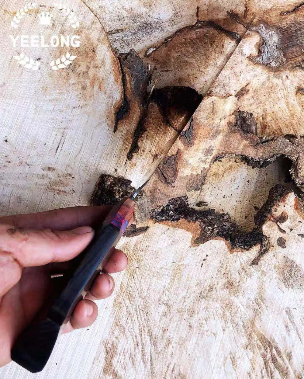 微信图片_20190928184313