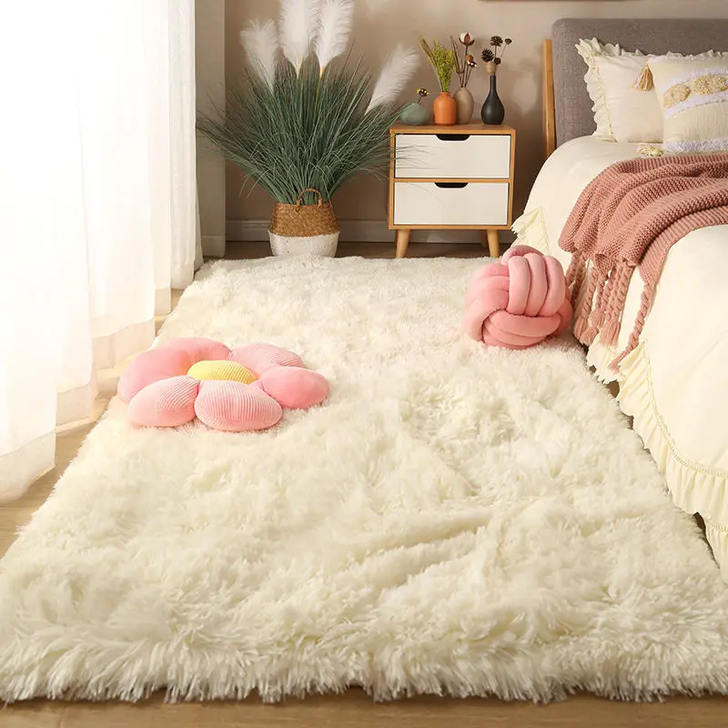 Washable Fluffy Living Room Rug 2