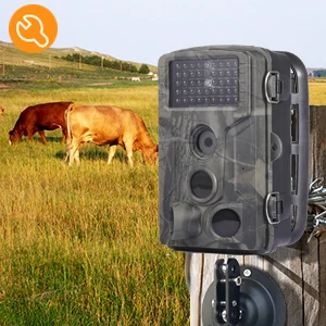 Hunting Camera Night Vision 1080P 20M Wildlife Trail Cameras Tracking  Infrared Hight Definition Wireless  Camera HC802A