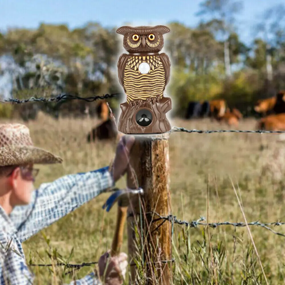 Owl0 Alert Motion Activated Security Statue With Light-Up Eyes