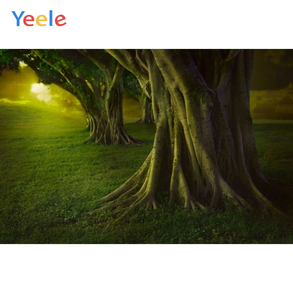 Yeele лесной фон зеленый экран дерево корень Природа Путешествия для новорожденных снимок, фон для фото студии фотосессии