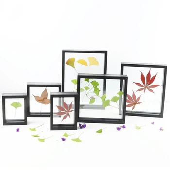 

Quality Double Sided Acrylic Photo Frame Plant Specimens Solid Wood Frame Leaf Clip Desktop Decoration Picture Frames Ornament