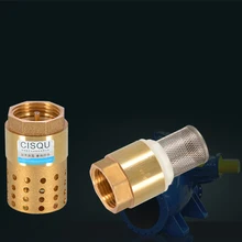'1PCS 1/2'' 3/4'' 1'' 2'' BSPP Female Brass Check Valve Non-return With Steel Strainer Filter DN15 DN25 DN40 For Water Plumbing Pump'