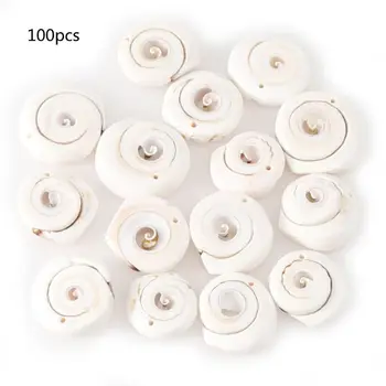 

100Pcs Mixed White Seashell Sea Shells Beads Cowrie from Sea Beach Large Conchl With Holes for DIY Art Craft Decor
